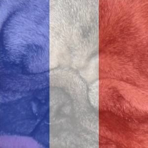 Meet your Posher, Leonard